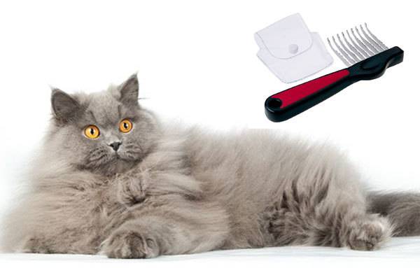 Расческа для кошек, щетка, перчатка для вычесывания шерсти, фурминатор: как хорошо вычесать питомца?