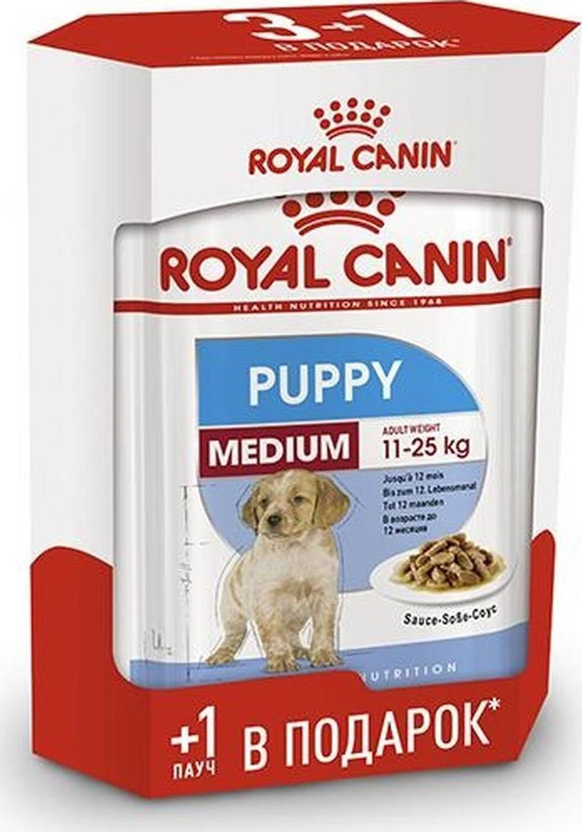 Корм royal canin: виды, состав, отличия, норма потребления