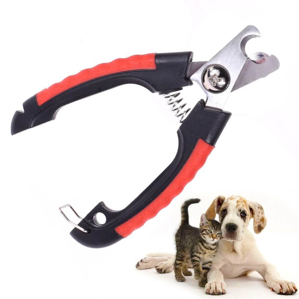 Как подстричь когти собаке в домашних условиях, правильная стрижка ногтей ножницами