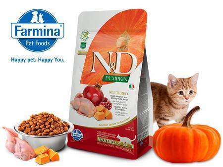 Farmina n&d (фармина нд): обзор корма для кошек, состав, отзывы