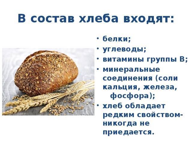 Можно ли хомякам давать хлеб белый, черный или другие хлебобулочные изделия?