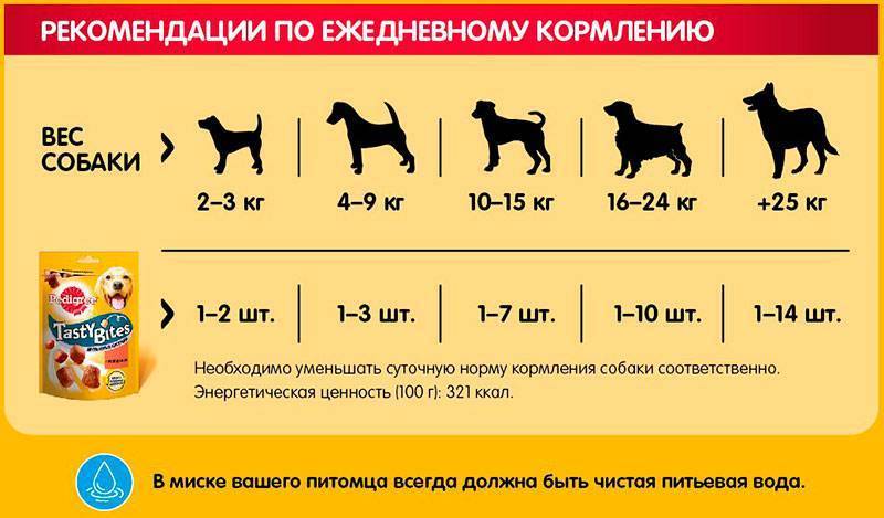 Говяжье легкое для собак: сколько варить и как приготовить