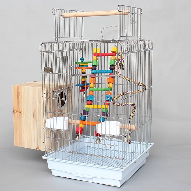 Клетка для волнистого попугая: какие формы, размеры, аксессуары