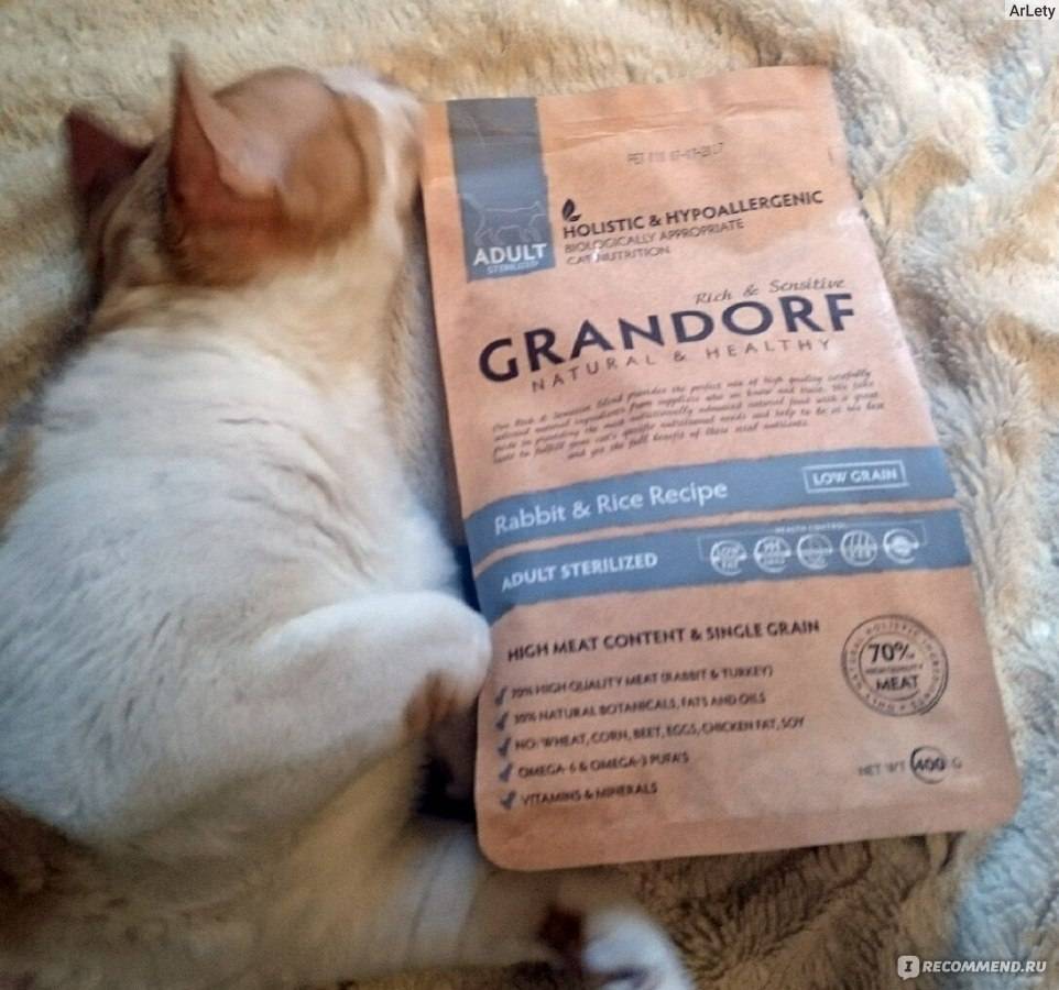 Корм для кошек «грандорф»: какими преимуществами обладают холистики