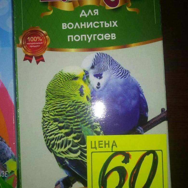 Чем кормить волнистого попугая (кроме корма) в домашних условиях