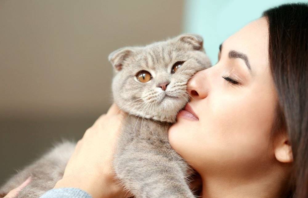 10 способов, с помощью которых кошка выражает свою любовь к вам. не многие знают об этом