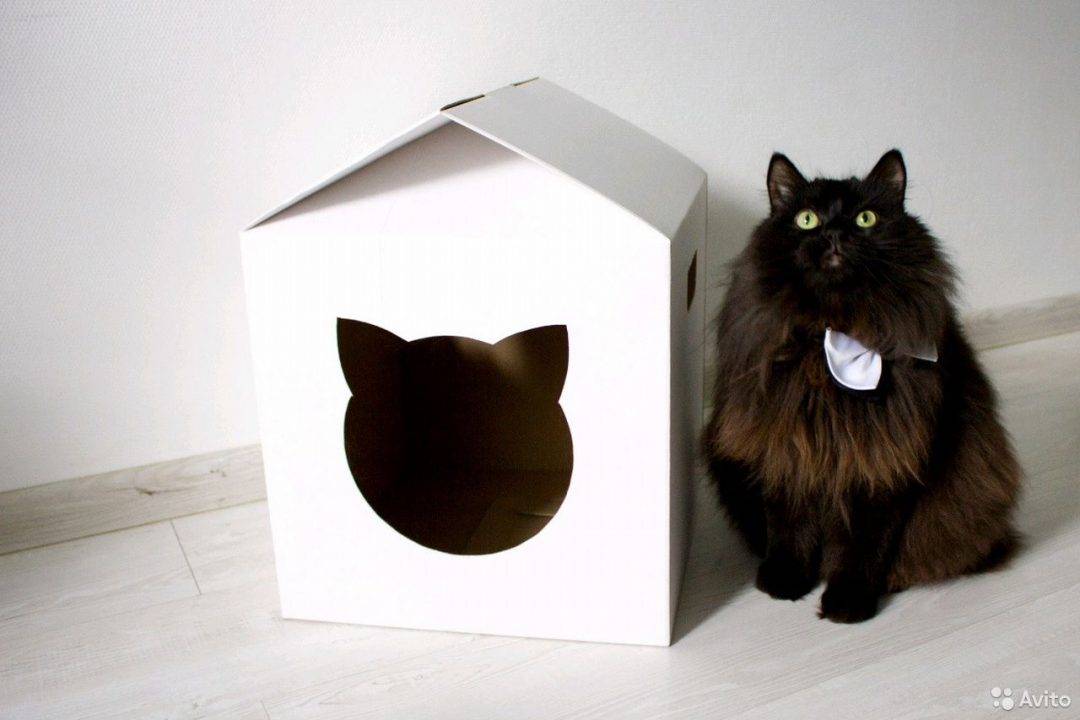 Домик для кошки из картонной коробки своими руками: примеры и пошаговые инструкции