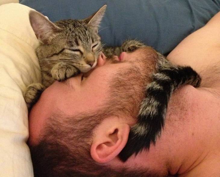 Почему кошка ложится и спит рядом с человеком