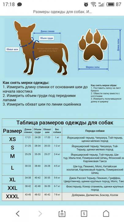 Как определить размер одежды для собаки