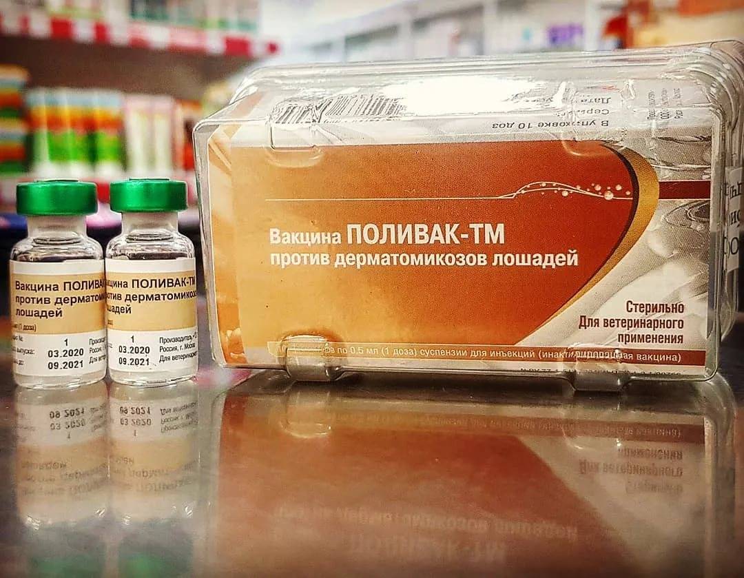 Поливак тм для кошек: инструкция по применению вакцины, отзывы