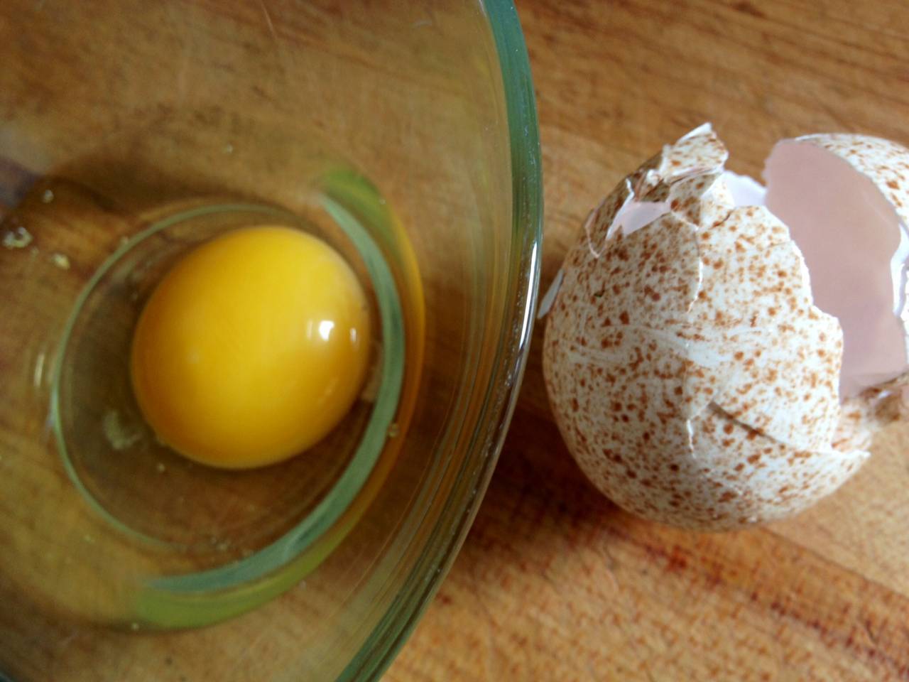 Можно ли собаке давать яйца? – некоторые правдивые мифы - kupipet.ru