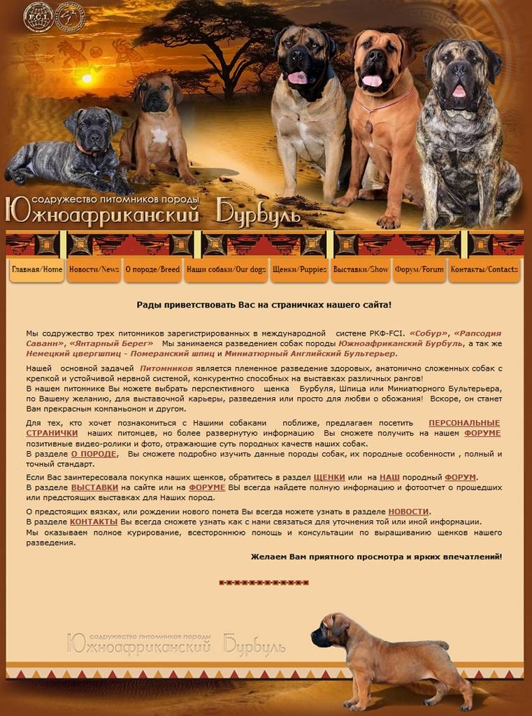 Православное животное. почему кошкам в храмах рады, а собакам — нет