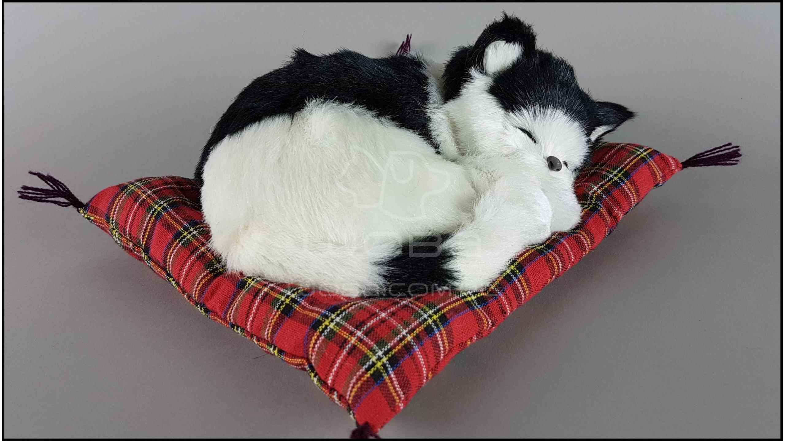 Какую опасность представляет кошка, которая спит на подушке