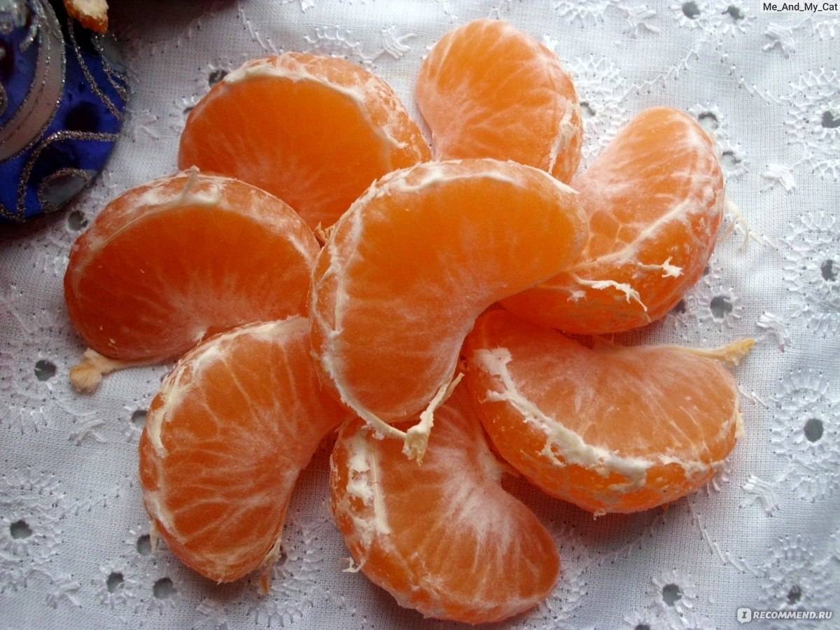 ᐉ можно ли хомякам нектарин, апельсин, мандарин или манго - zoopalitra-spb.ru