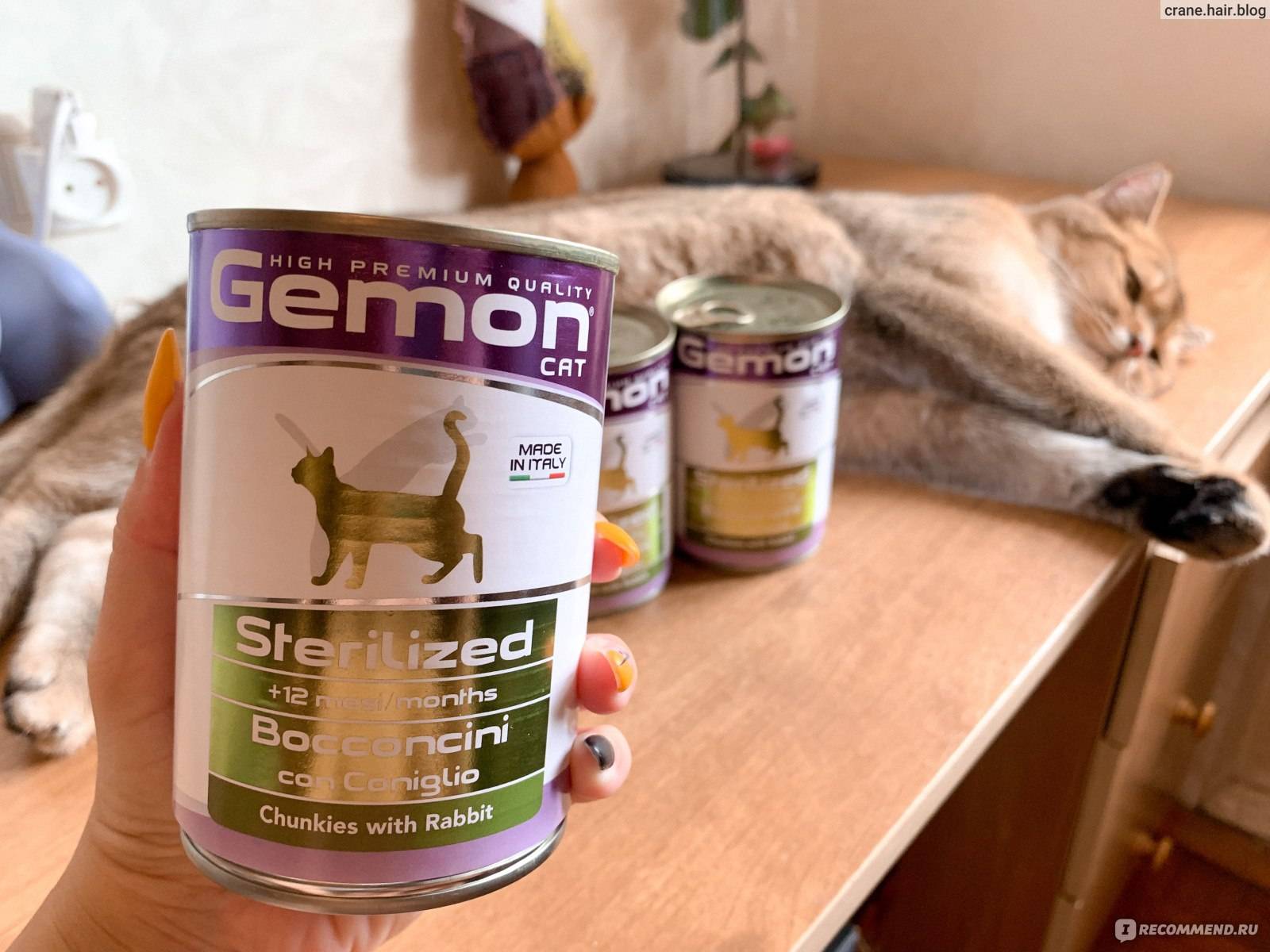 Подробная характеристика кормов gemon для кормления котенка и взрослой кошки