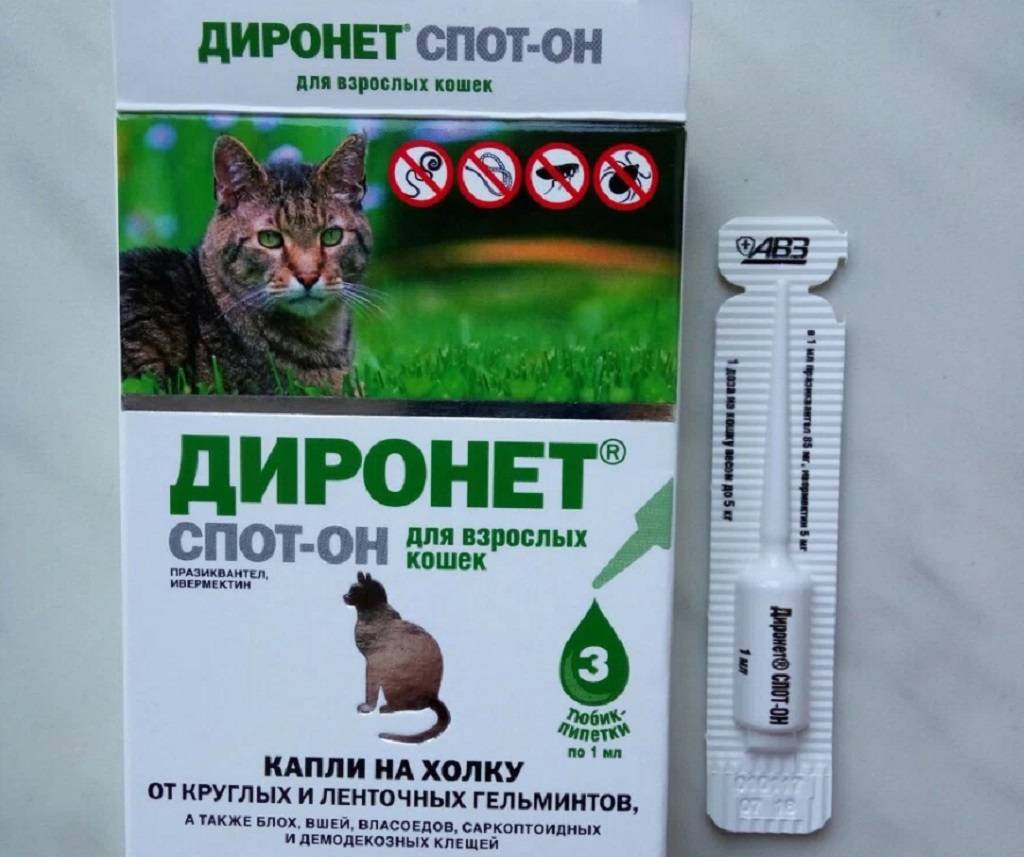 Капли на холку от глистов для кошек – самый простой и безопасный способ избавления от паразитов