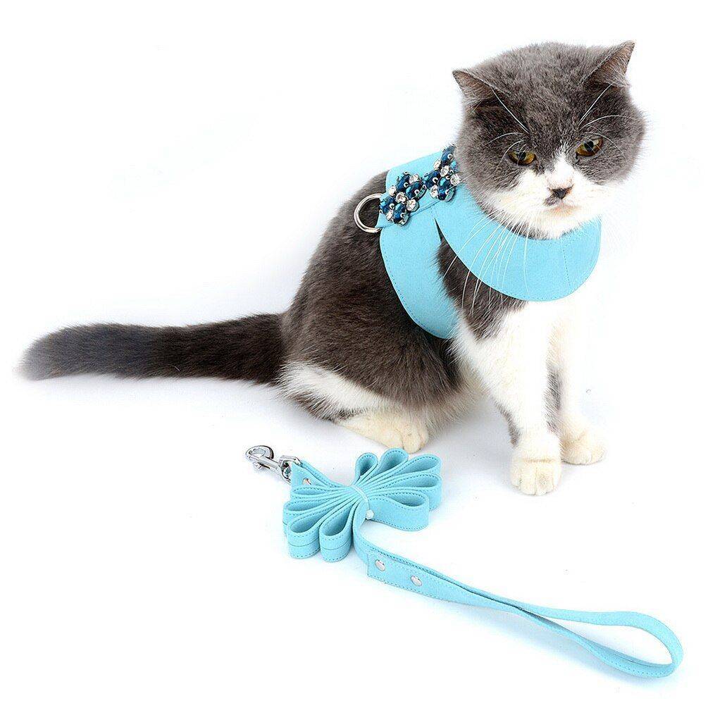 Как надеть шлейку на кошку: пошаговая инструкция с фото, как одевать ошейник и поводок на кота для прогулки, полезные видео