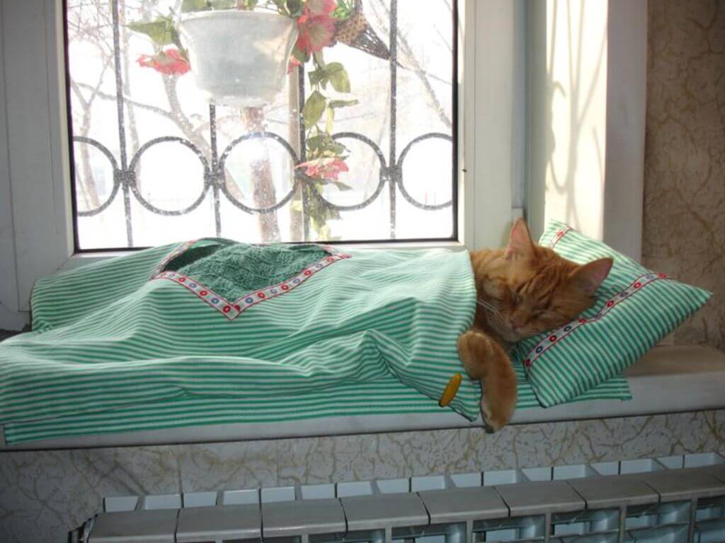 Кроватка для кошки из старого свитера. лежак для кошек своими руками из старого свитера: интересный мастер-класс