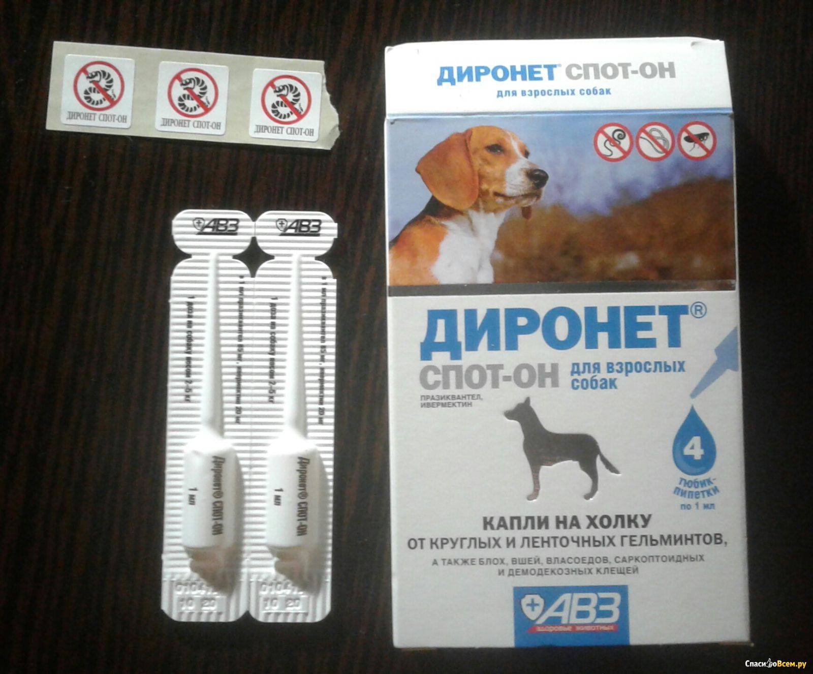 Диронет спот-он ® (капли) для кошек и собак, чтобы уничтожить клещей и блох