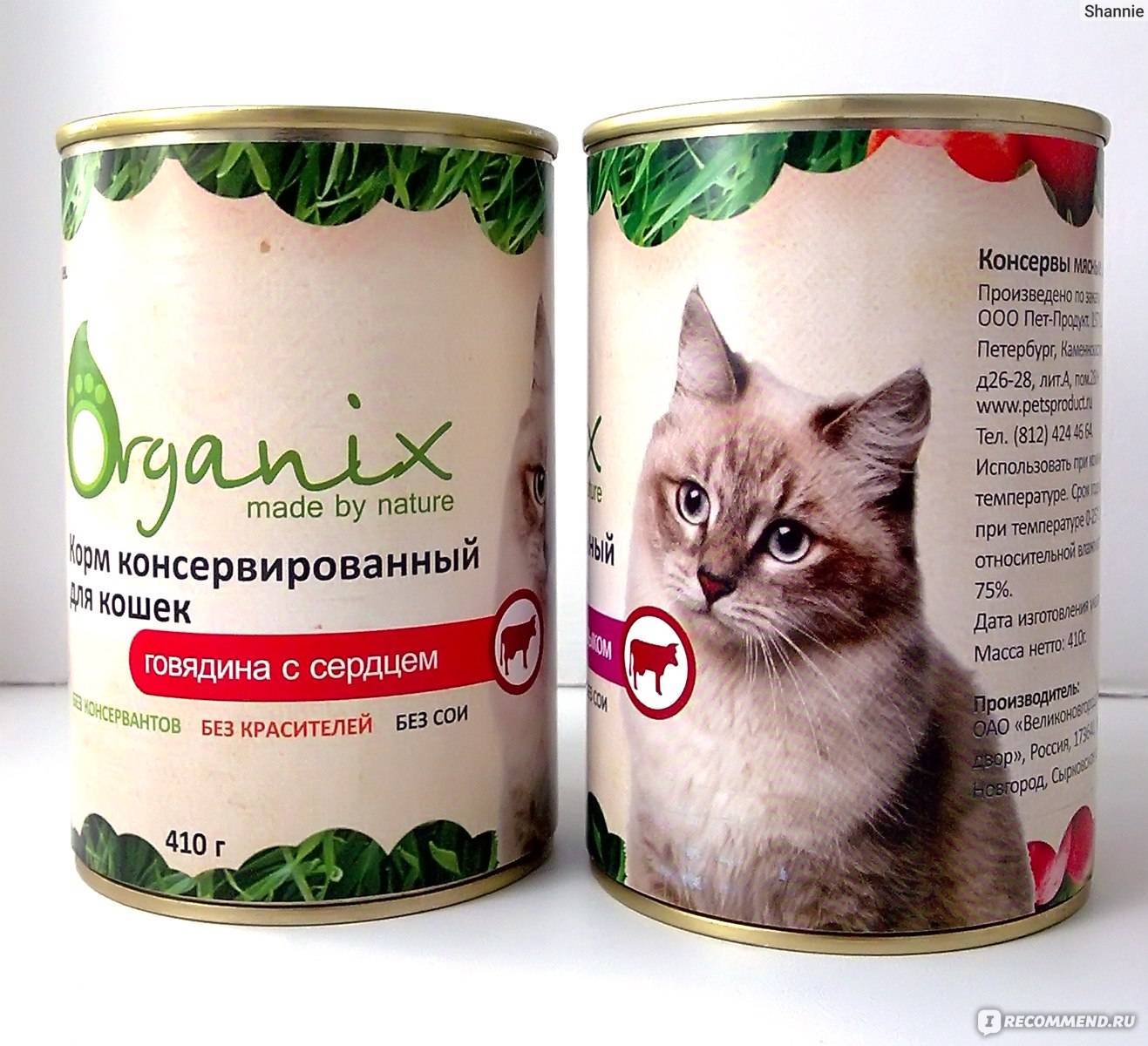 Органикс для кошек: обзор корма, отзыв ветеринара на состав