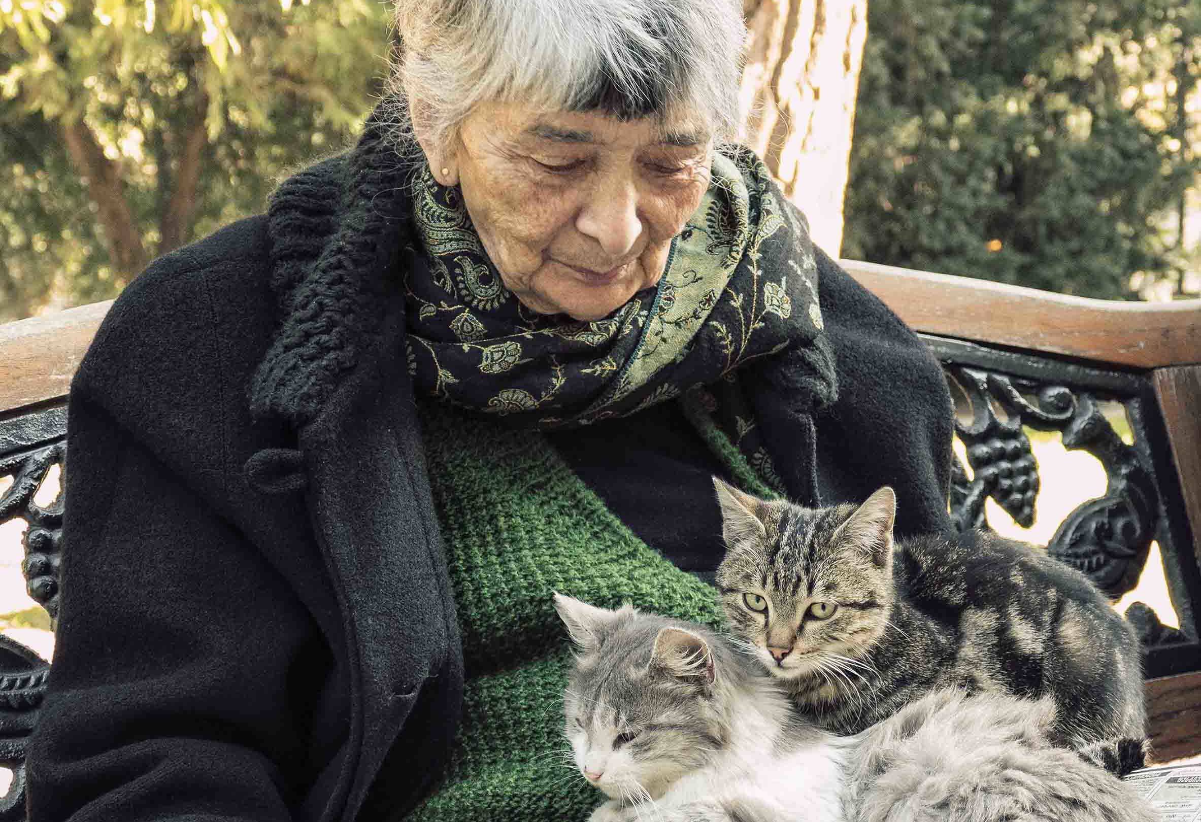 Как ухаживать за старой кошкой, возрастные изменения кошек и уход за ними, когда кошка считается пожилой — таблица возраста