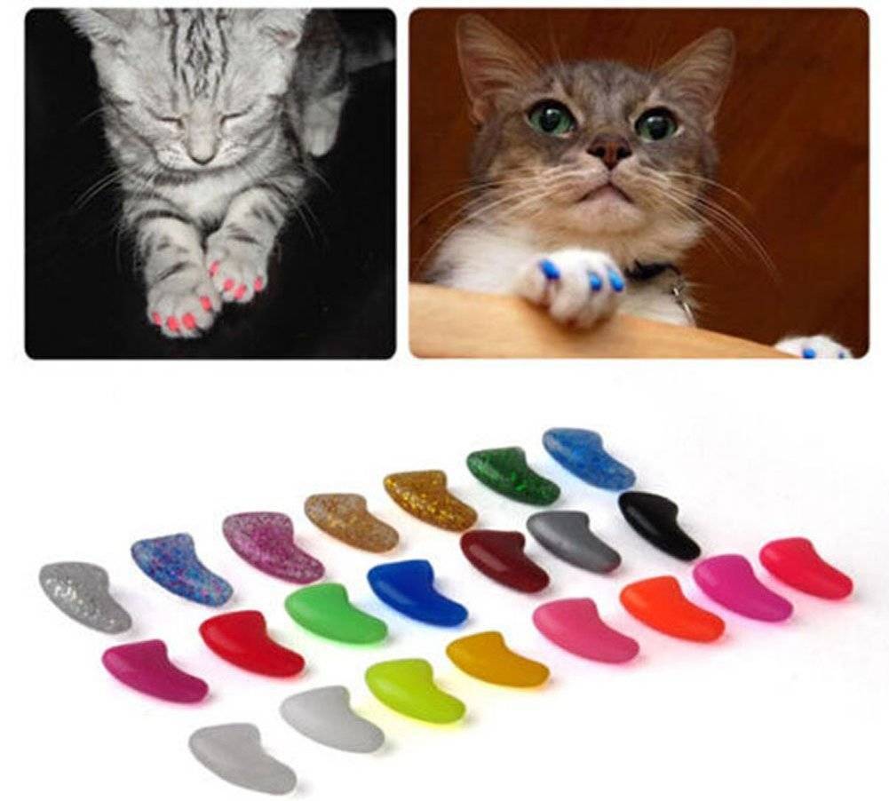 Антицарапки для кошек - накладки на когти, колпачки, как приклеить, как снять, вред и польза