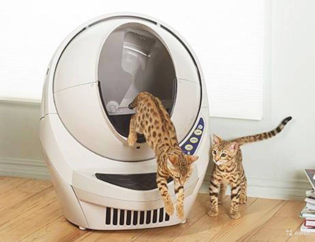 Автоматический туалет для кошек — что это такое? виды самоочищающихся туалетов и правила выбора