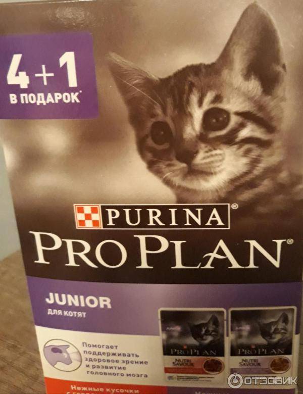 Корм для кошек проплан (пурина): описание линейки, преимущеста и недостатки использования