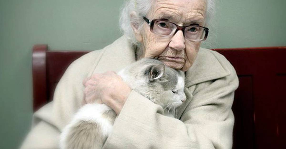 5 признаков старости у кошек