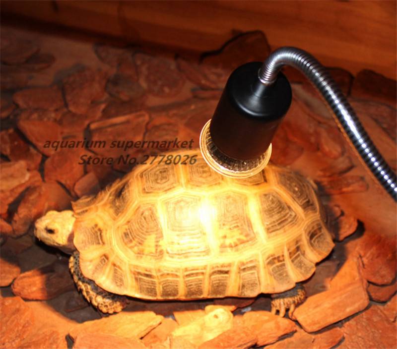 Лампы греющие - черепахи.ру - все о черепахах и для черепах