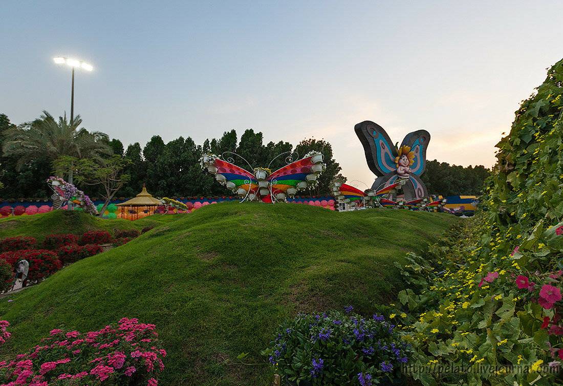 Сад бабочек, центр конных традиций и олимпийский музей: новые проекты вднх