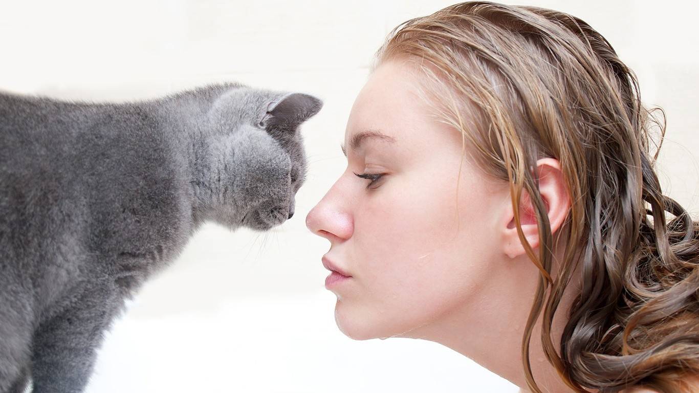 5 привычек хозяев котов, которые заставляют нервничать их домашних питомцев