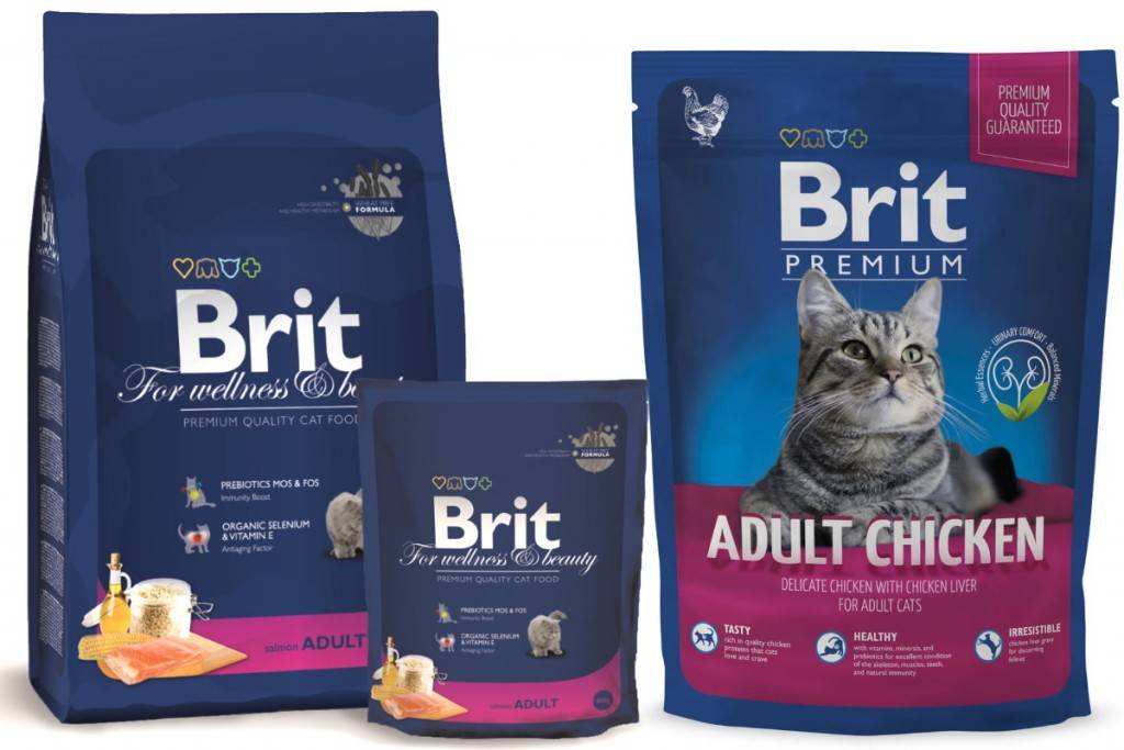 Корм для собак брит премиум (brit premium): отзывы собаководов и ветеринаров, состав и описание сухого корма