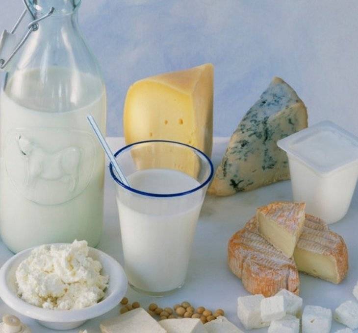 Можно ли хомякам молоко, творог, йогурт и другие молокопродукты