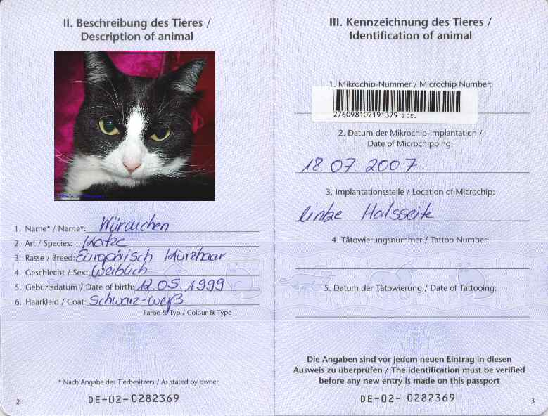 ᐉ как сделать ветеринарный паспорт кошке? - zooshop-76.ru