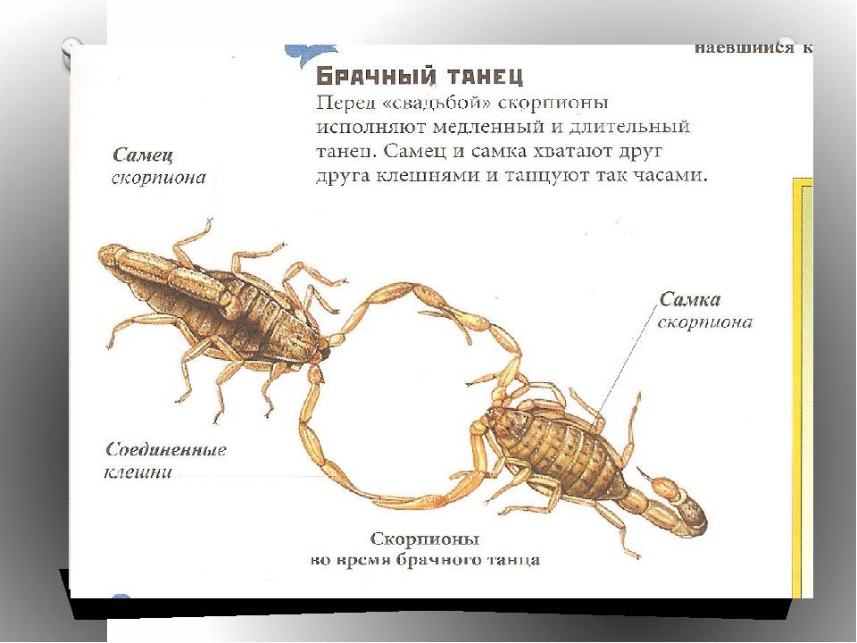 Файлы