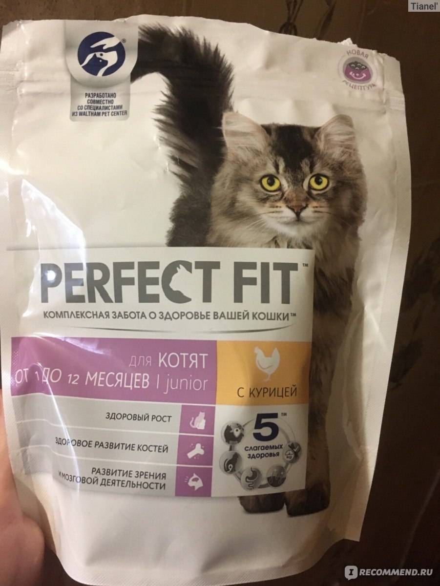 Корм «перфект фит» (perfect fit): описание и отзывы ветеринаров