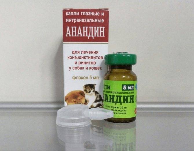 Инструкция по применению глазных и интраназальных капель «максидин» для лечения кошек