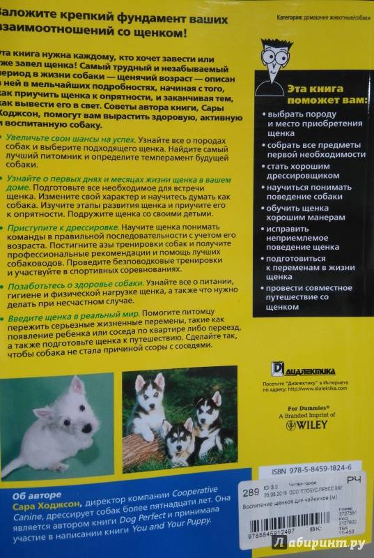 ᐉ как дрессировать щенка лайки в домашних условиях? - zoomanji.ru