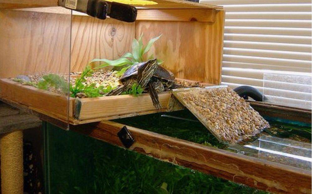 Как убрать островок в аквариуме для черепах. акватеррариум своими руками