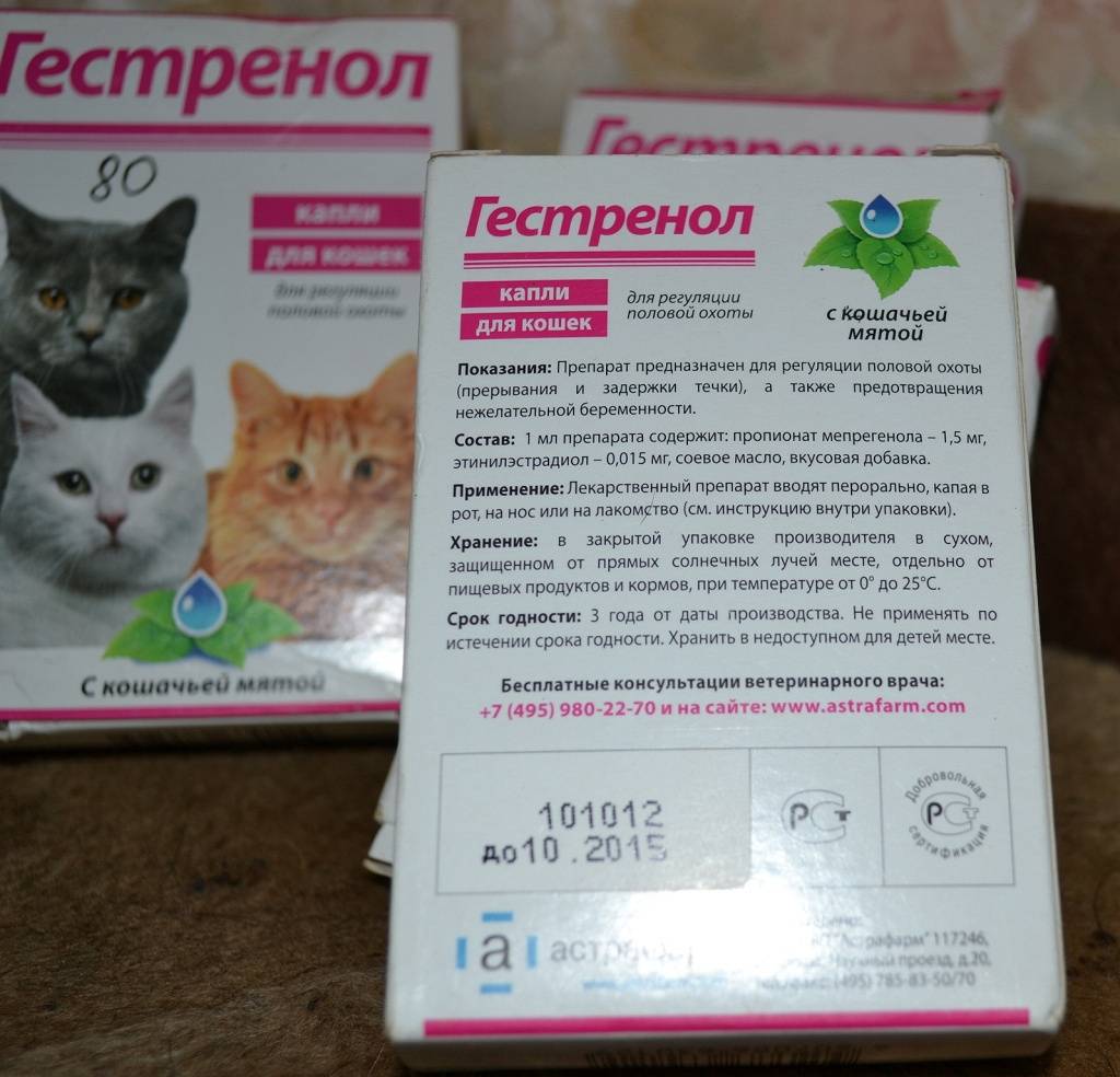 Противозачаточные таблетки для кошек, уколы от беременности, средства длительного действия