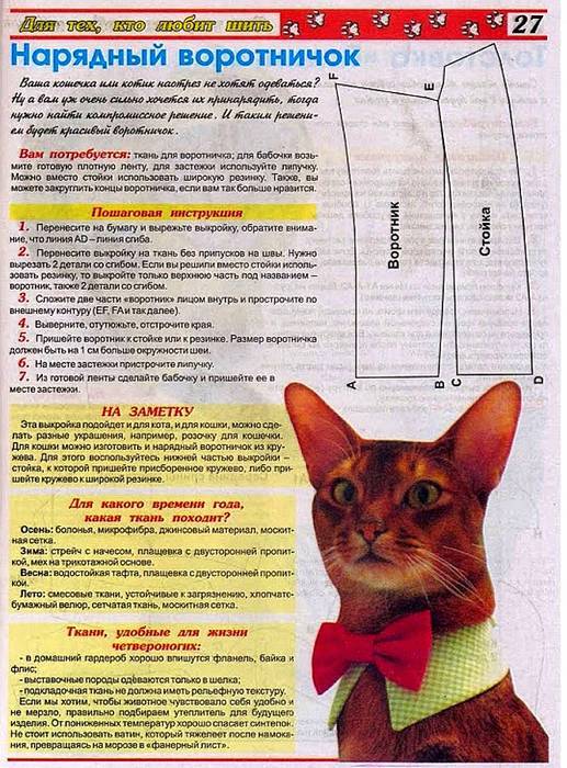 Воротник для кошек: виды, размеры, назначение (после операции и кастрации) + советы по выбору