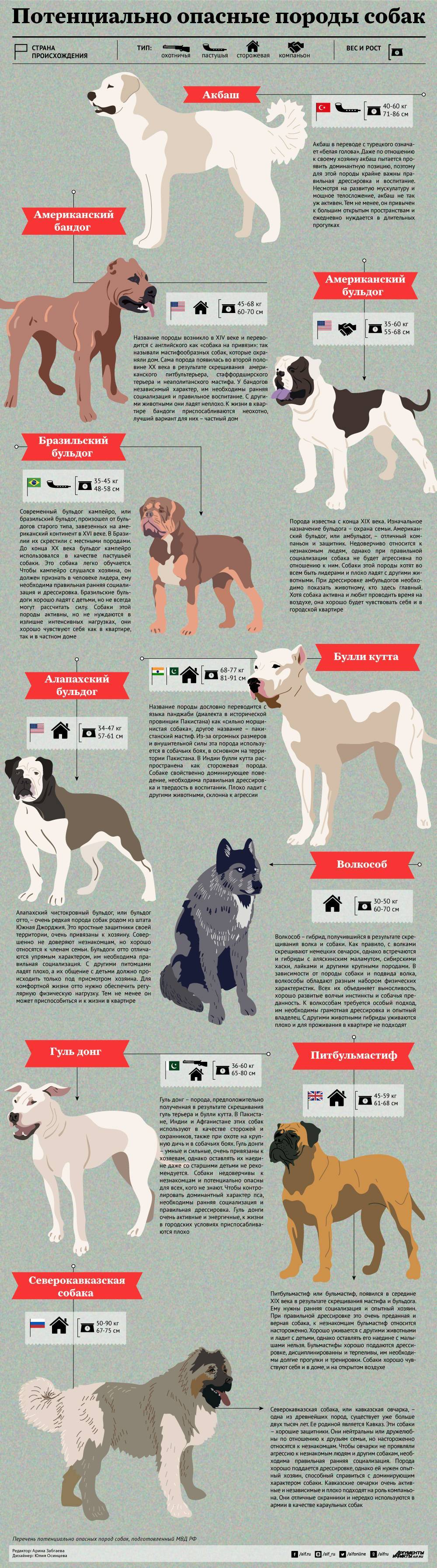 13 пород собак в списке мвд — о законе, список пород, правила выгула и штрафы