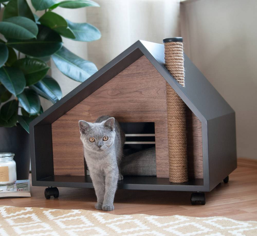 Место для кошки: все тонкости выбора спального места для кошки (фото, инструкция, рекомендации)