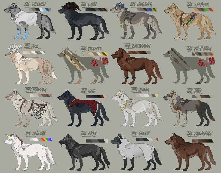 Помесь лайка и волк: особенности собак, характер, отзывы владельцев | medeponim.ru