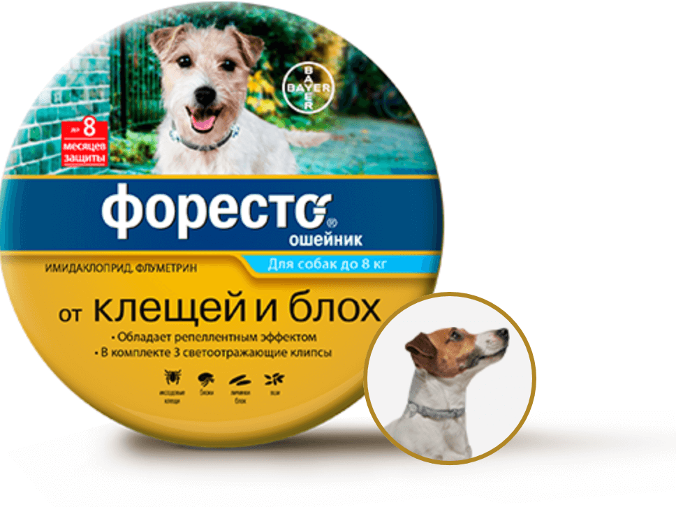 Ошейник для собак форесто отзывы - домашние животные - первый независимый сайт отзывов россии