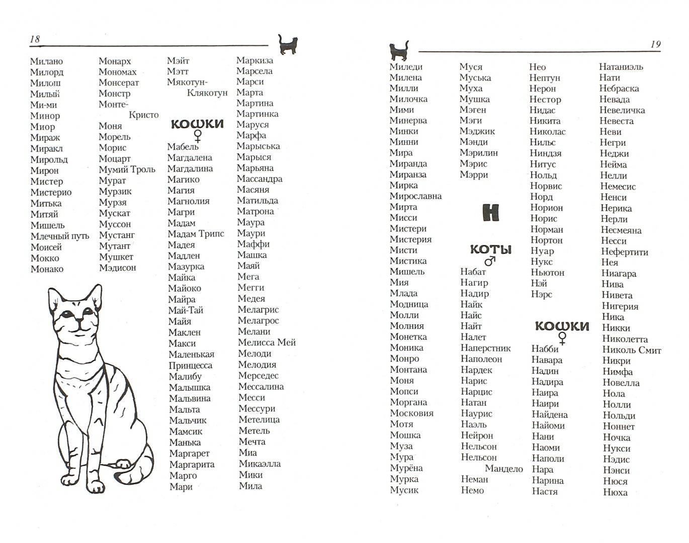 Варианты кличек для шотландских вислоухих котов и кошек