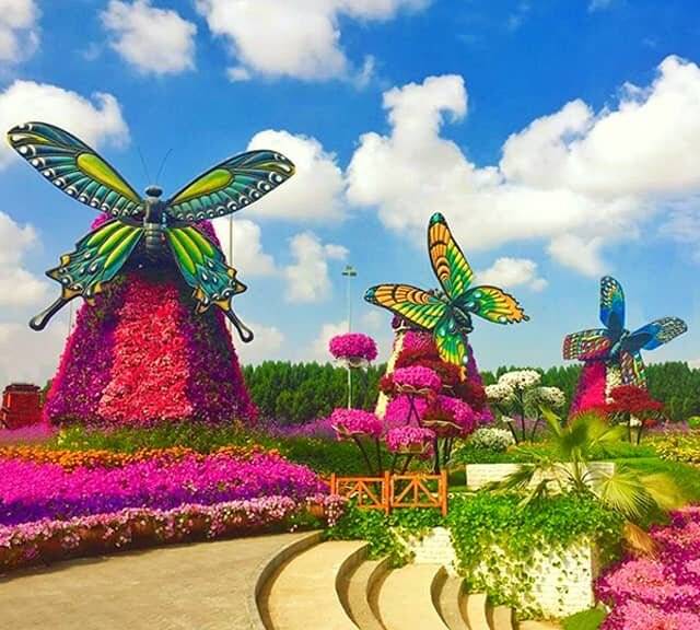 Как создать сад с бабочками