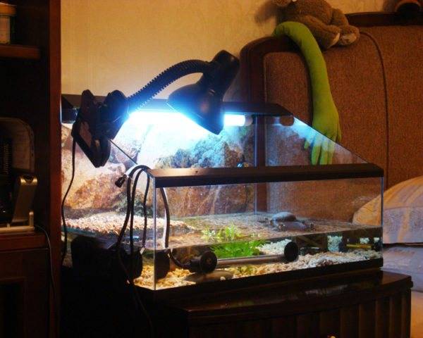 Ультрафиолетовая лампа для черепах