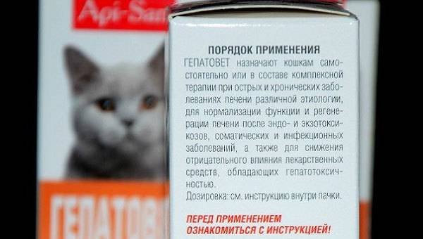 Гепатовет для кошек: инструкция по применению и дозировка, побочные эффекты, аналоги
